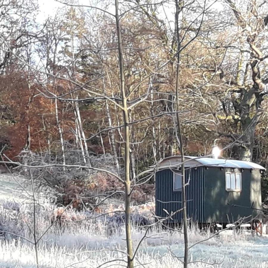 Вилла Cosy Woodland Off Grid Shepherds Hut - Rowan Касл Дуглас Экстерьер фото