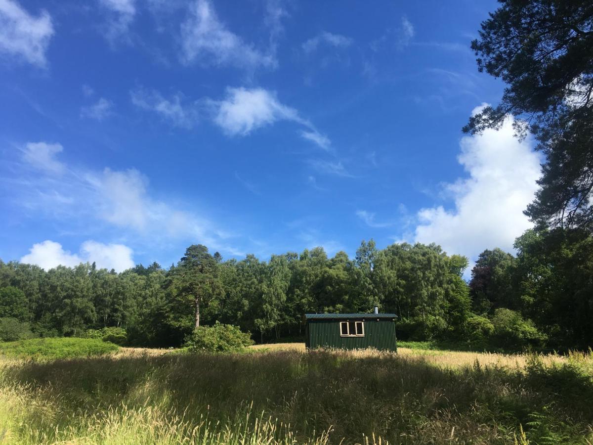 Вилла Cosy Woodland Off Grid Shepherds Hut - Rowan Касл Дуглас Экстерьер фото